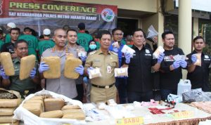 Polres Jakbar Musnakan Ratusan Kilo Narkoba 8