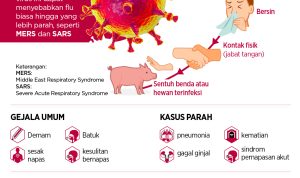 Sentralisasi Medis di Indonesia Barat dan Timur untuk Antisipasi Corona 13
