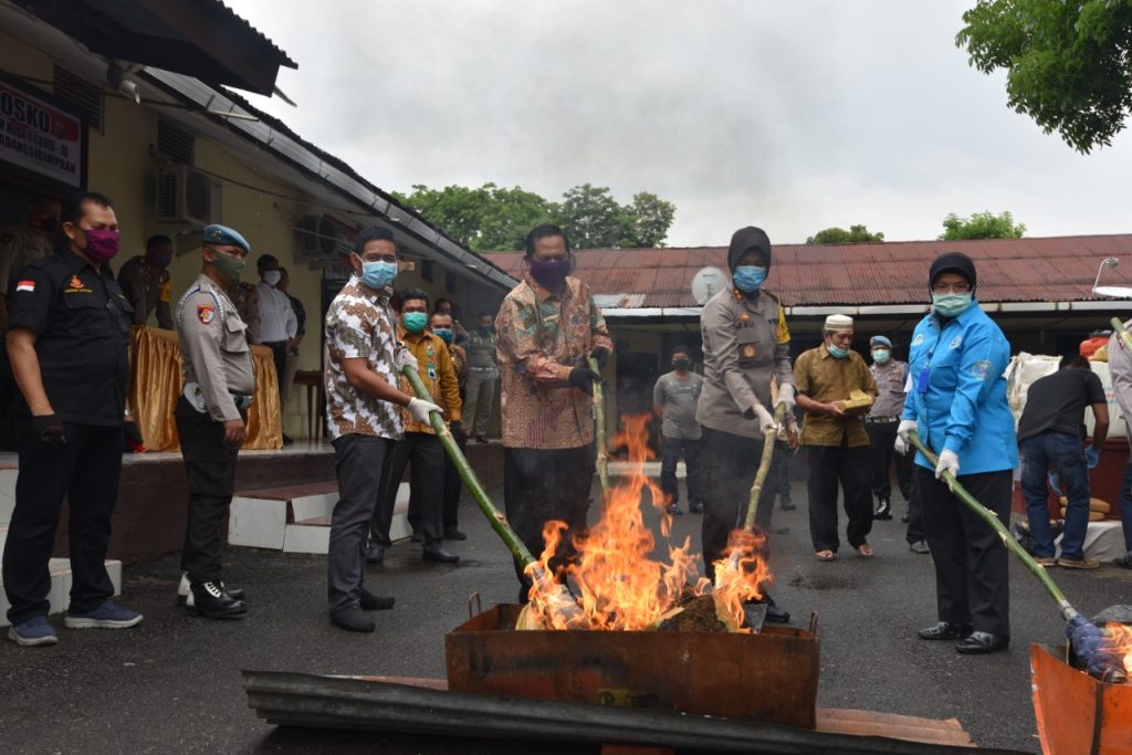 Polres Padangsidimpuan Musnahkan 249 Kg Ganja 10