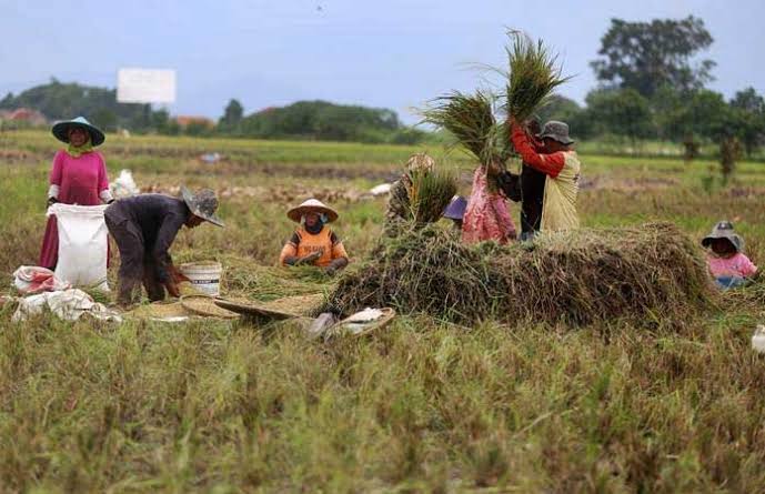SPI: Selesaikan Konflik Agraria di Indonesia