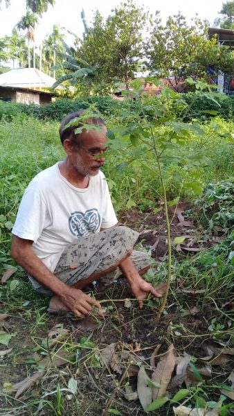 Ini 81 Tanaman Penangkal Virus  37