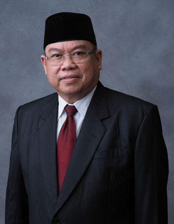 Komnas HAM: Perppu Pilkada Abaikan Keselamatan Masyarakat 12