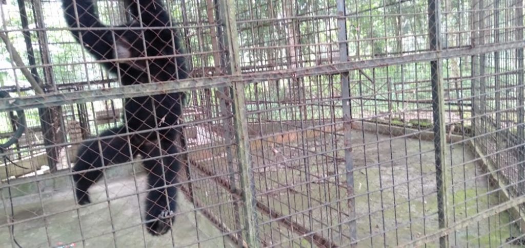 Pengunjung Kebun Binatang Medan Berkurang, Ini Alasannya 13