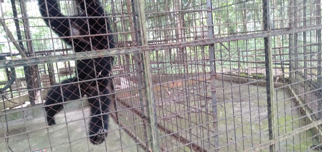 Pengunjung Kebun Binatang Medan Berkurang, Ini Alasannya 1