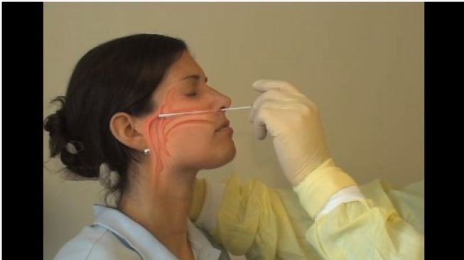 Biaya Tes Swab Maksimal Rp900 Ribu 12