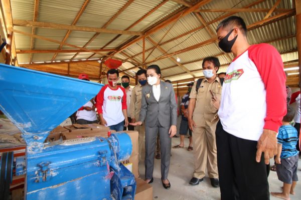 Resmikan Gudang Pengolahan Beras dan Jagung, Komitmen Karolin Kembangkan Pertanian di Landak 66