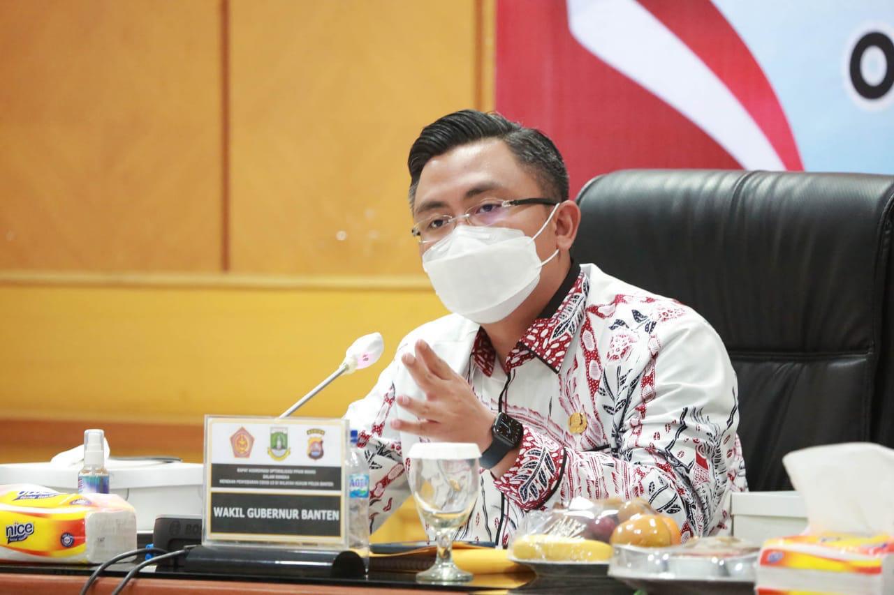 PPKM Mikro, Wagub Andika: Provinsi Banten Bentuk 1.238 Tim Relawan Desa 1