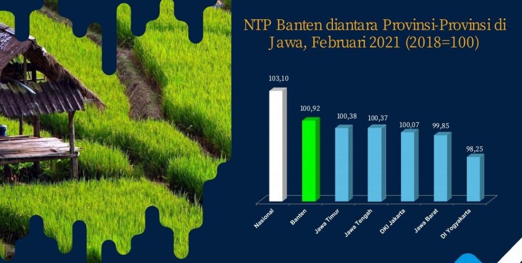 NTP Banten Tertinggi se-Pulau Jawa 11