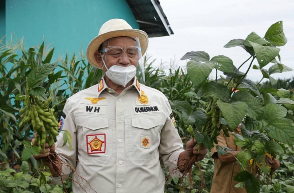 Pemprov Banten Dorong Peningkatan Produksi Kacang Kedelai 10