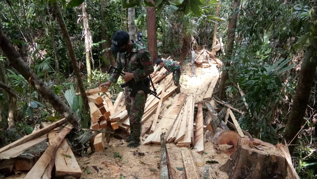 Personel TNI Amankan Kayu Hasil Illegal Logging di Perbatasan 1