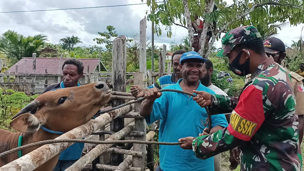 Meriahkan Penutupan TMMD Ke-110, Warga Distrik Kawagit Sumbang Hewan Ternak 8
