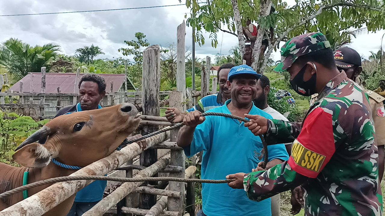 Sumbang Ternak Meriahkan Penutupan TMMD Ke-110, Warga Distrik Kawagit Sumbang Hewan Ternak 1