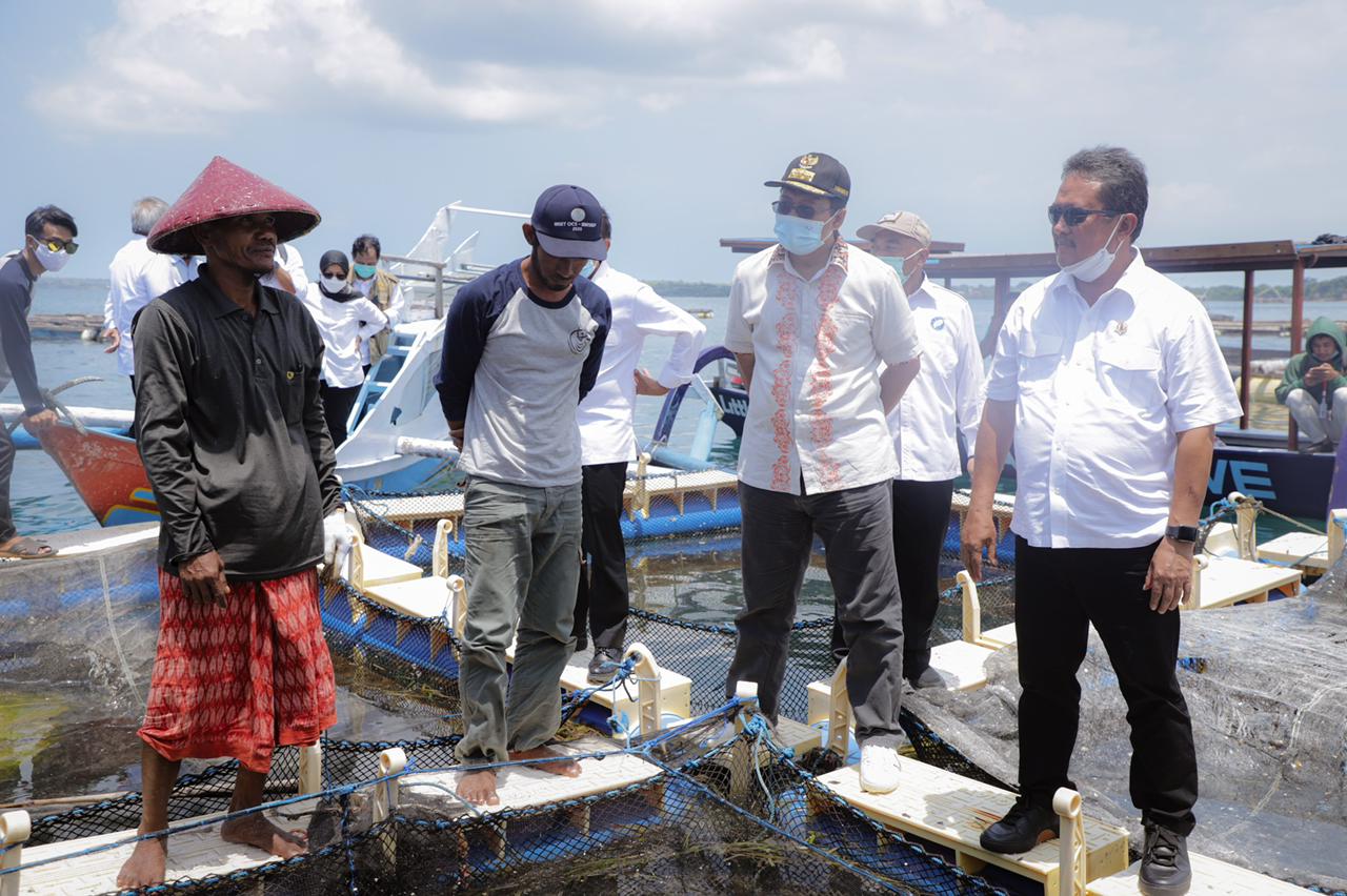 Trenggono-Lobster-1 Sekali Panen Hasilkan Rp250 Juta, Menteri Trenggono Takjub dengan Penghasilan Pembudidaya di Telong Elong 1