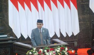 Gerindra Beri Sinyal PDIP Gabung Kabinet Prabowo-Gibran 9