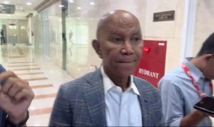 Soal Kabinet Gemuk, PDIP: Beri Kesempatan Prabowo Bekerja 8