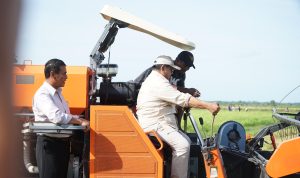 Presiden Prabowo Didampingi Mentan Amran Kunjungan Perdana ke Lahan Pertanian Merauke 11