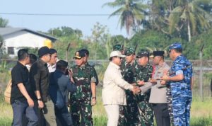 Panglima TNI Dampingi Presiden RI Tinjau Program Swasembada Pangan Nasional di Merauke 10