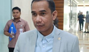 Berantas Mafia Impor, Nasdem Minta Permendag No.8 Dievaluasi 8