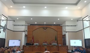 Sidang Praperadilan, Lembong Mengaku Tak Pernah Ditegur BPK dan BPKP 11