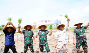 Panglima TNI Dorong Swasembada Pangan Nasional Melalui Bibit Padi Unggul Sinar Mentari 9