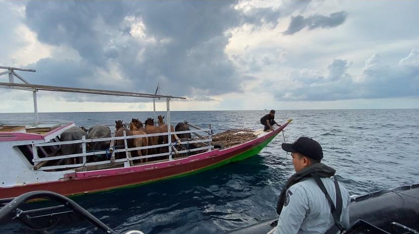 Bakamla Selamatkan Kapal Terombang Ambing di Laut Flores 1