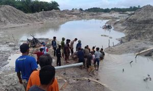 Kejagung Wajib Menyidik dan Menuntut Semua Korporasi yang Merusak Ekosistem di IUP PT Timah 8