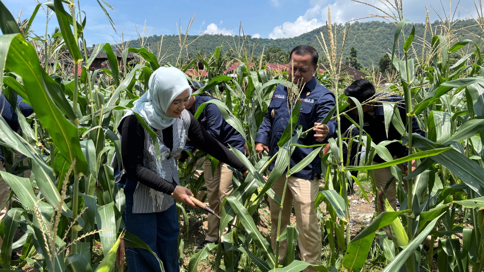 Kepala Zona Bakamla Tengah Pimpin Panen Jagung di Bali 1 Kepala Zona Bakamla Tengah Pimpin Panen Jagung di Bali 2