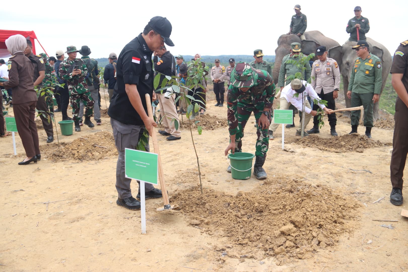 Pulihkan Kerugian Negara Satu Juta Hektar Sawit, Satgas PKH Tegakkan Kedaulatan Hukum Negara di TNTN Riau 1