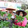 Dukung Ketahanan Pangan, Kapolda Kalteng Bersama Bhayangkari Panen Sayur di Lahan Pekarangan Pangan Lestari 18