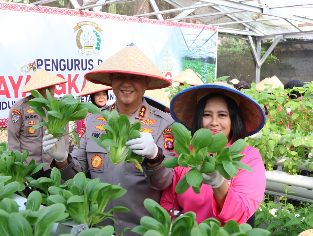 Dukung Ketahanan Pangan, Kapolda Kalteng Bersama Bhayangkari Panen Sayur di Lahan Pekarangan Pangan Lestari 1