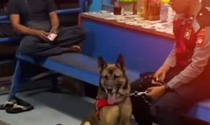 Melalui Patroli Dialogis Humanis, Polri Wujudkan Lingkungan Aman dan Harmonis 13