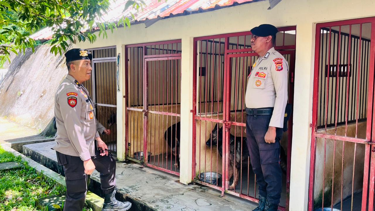 Korsabhara Baharkam Polri Supervisi Polda Maluku, Fokus Asistensi Dalmas, Tipiring, dan Pamobvit 2