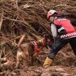 Penciuman Anjing Pelacak Percepat Penemuan Korban Longsor Cilacap 24