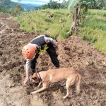 Deteksi Korban, Unit K9 Diterjunkan ke Lokasi Bencana Pandanarum 11