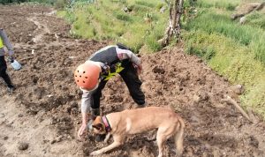Deteksi Korban, Unit K9 Diterjunkan ke Lokasi Bencana Pandanarum 12
