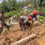 Pencarian Korban Longsor Taput Libatkan Anjing Pelacak K9 Polda Sumut 55