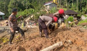 Pencarian Korban Longsor Taput Libatkan Anjing Pelacak K9 Polda Sumut 9