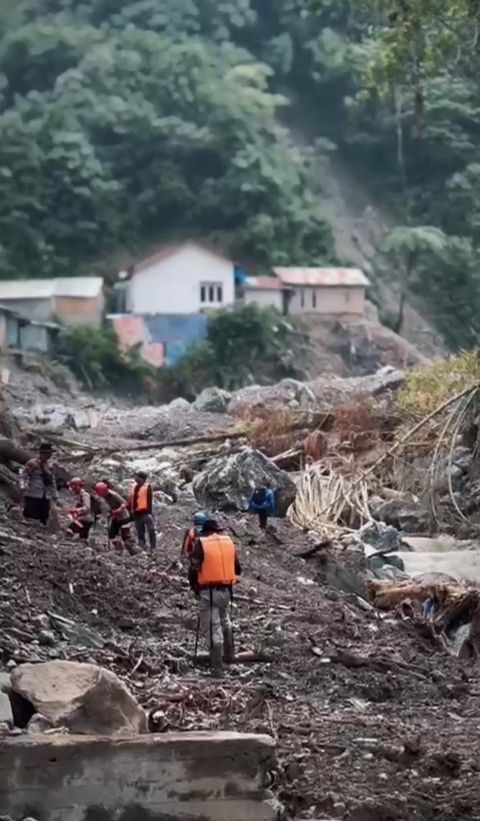 Kisah Kemanusiaan dan Kesetiaan Anjing Pelacak & K-9 Handler 2