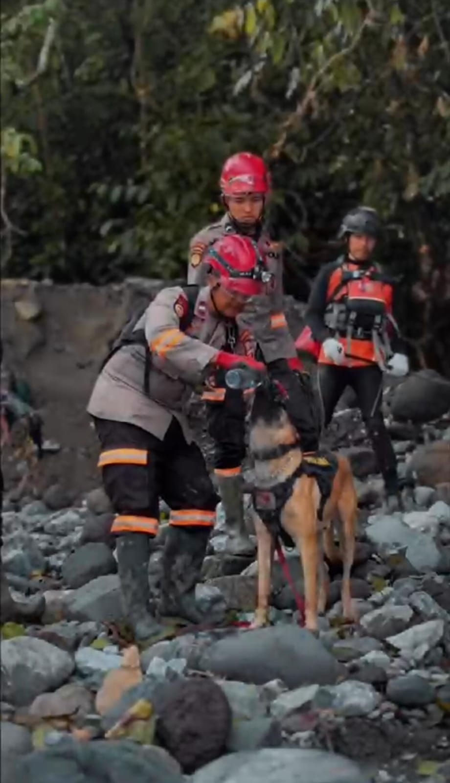 Kisah Kemanusiaan dan Kesetiaan Anjing Pelacak & K-9 Handler 1