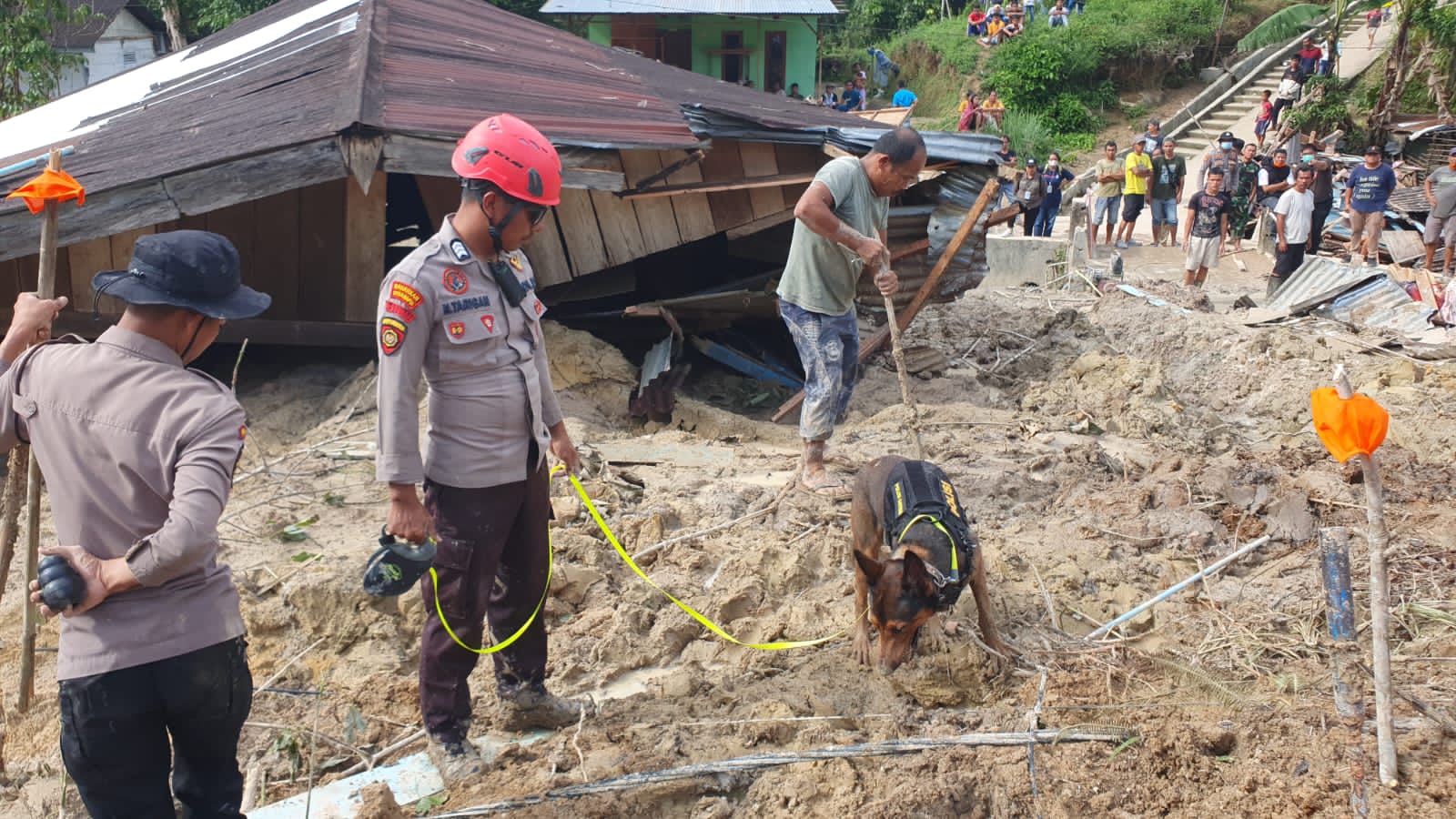 Pencarian Korban oleh Anjing Pelacak Polri Terkendala Ketiadaan Alat Berat 1