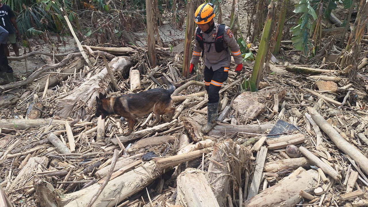 Satwa K-9 Polri Temukan Jenazah Korban Banjir Bandang di Aceh Tamiang 1