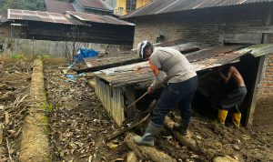 Tim SAR Brimob BKO Polda Sumbar Mencari Korban dan Salurkan Bantuan ke Daerah Terdampak Banjir 13