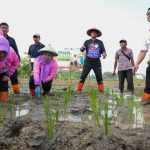 Jakarta Timur Tanam Jagung, Padi, dan Sayuran di 162 Lokasi, Target Panen Puluhan Ton 24