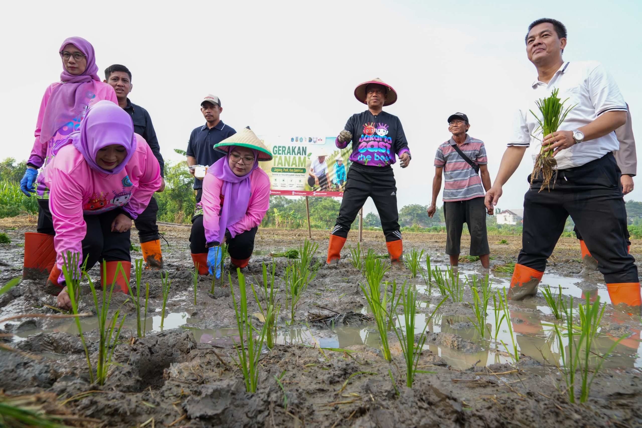 Jakarta Timur Tanam Jagung, Padi, dan Sayuran di 162 Lokasi, Target Panen Puluhan Ton 1