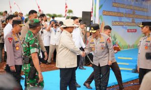 Perkuat Ketahanan Pangan, Presiden Panen Raya Jagung bersama Kapolri 6