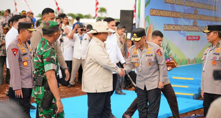 Perkuat Ketahanan Pangan, Presiden Panen Raya Jagung bersama Kapolri 1