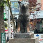 'Hachiko' Anjing Setia Primadona Shibuya-Tokyo 21