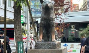 'Hachiko' Anjing Setia Primadona Shibuya-Tokyo 6
