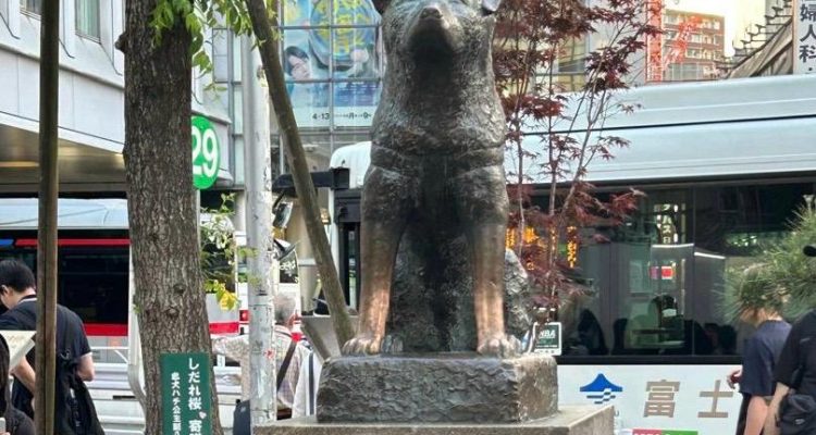 'Hachiko' Anjing Setia Primadona Shibuya-Tokyo 1