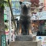 'Hachiko' Anjing Setia Primadona Shibuya-Tokyo 16